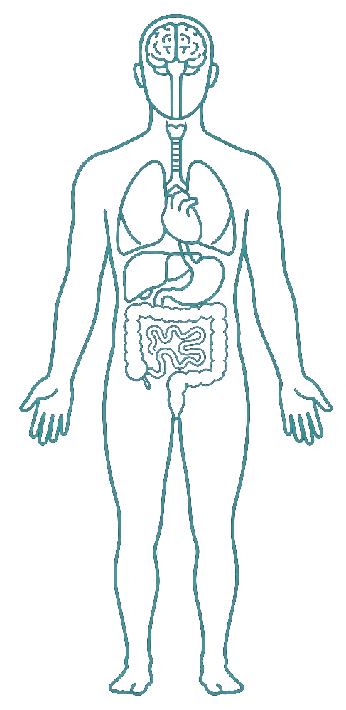 Anatomical human body showing the sites of IBD extraintestinal manifestations — eyes, mouth, liver, joints, and skin
